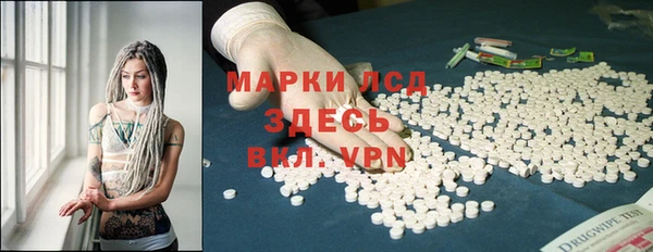 индика Алзамай