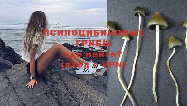 стаф Алексин