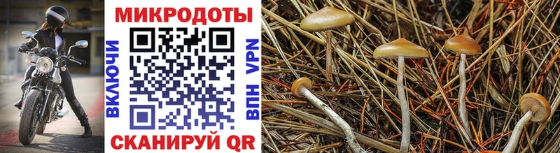 blacksprut как войти  сколько стоит  Приволжский  Галлюциногенные грибы мухоморы 