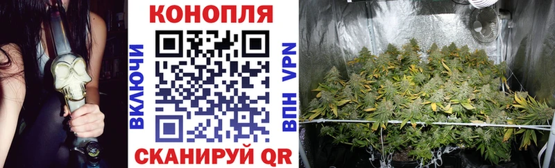 Шишки марихуана Ganja  Приволжский 